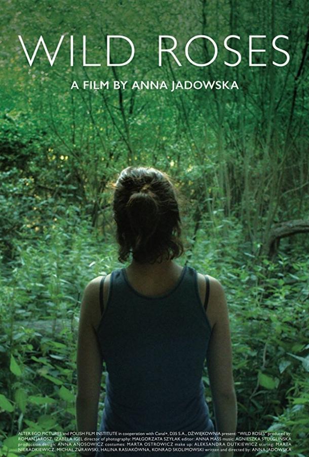 Дикие розы Дикие розы