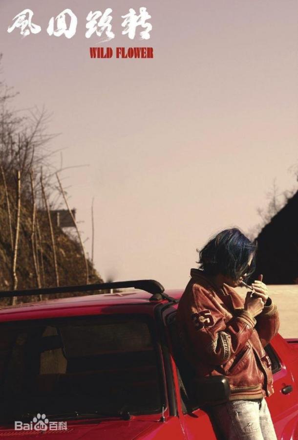 Дикий цветок Дикий цветок