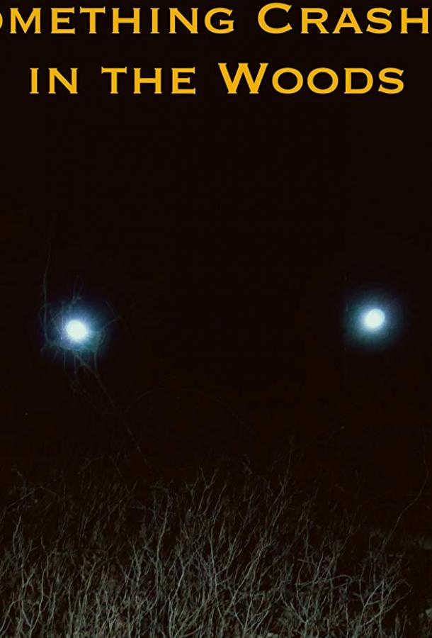 Крушение в лесу Крушение в лесу