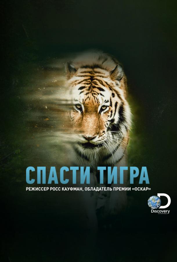 Animal Planet: Спасти тигра Animal Planet: Спасти тигра