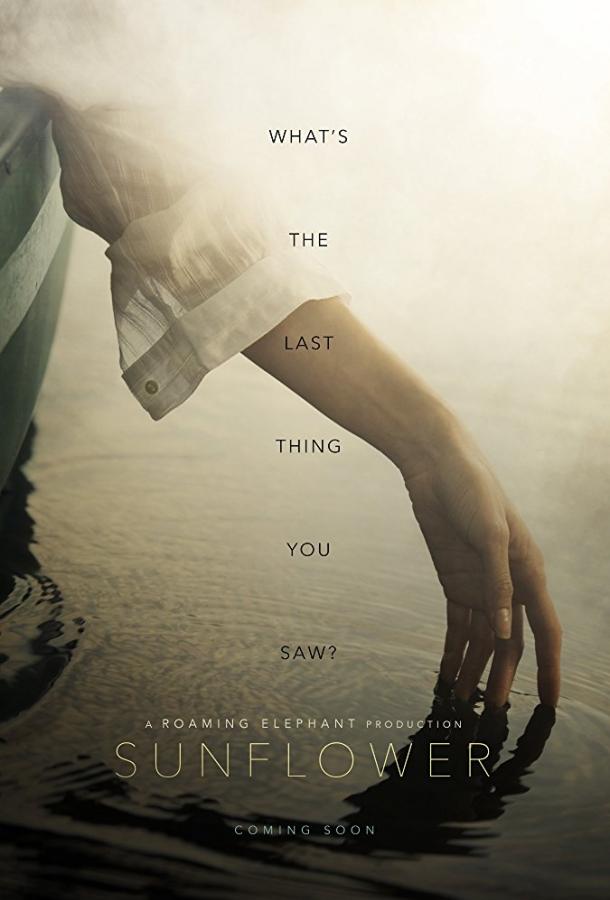 Подсолнух (Исчезновение) Подсолнух (Исчезновение)