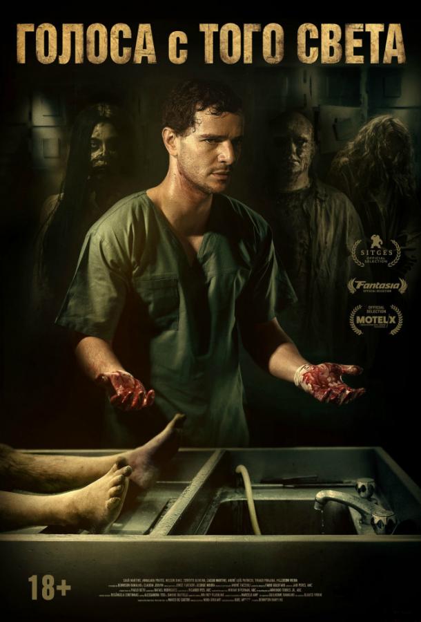 Голоса с того света / Мёртвые не разговаривают Голоса с того света / Мёртвые не разговаривают