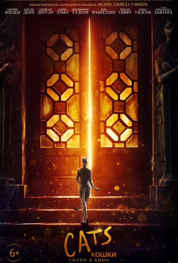 Кошки Кошки