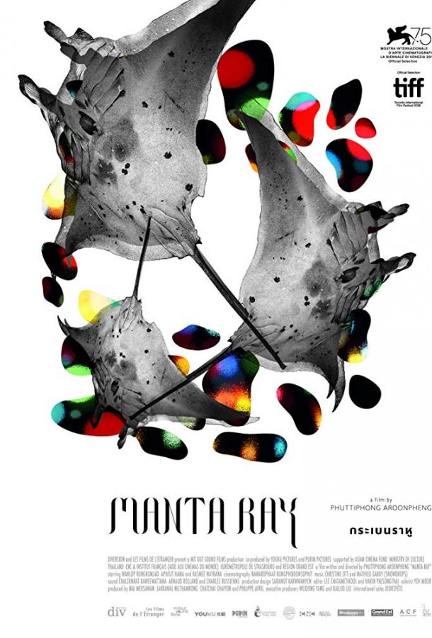 Манта Рэй Манта Рэй