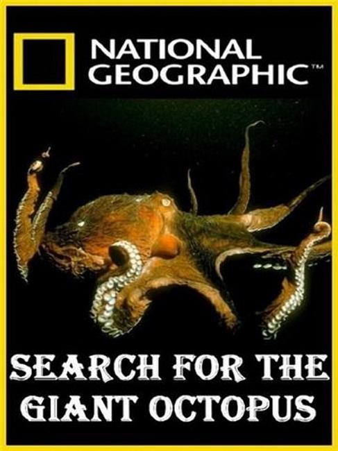 National Geographic. В поисках гигантского осьминога National Geographic. В поисках гигантского осьминога