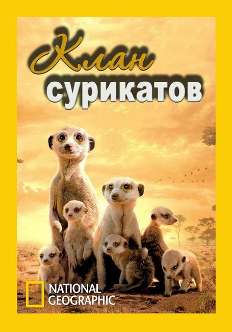 National Geographic. Клан сурикатов National Geographic. Клан сурикатов