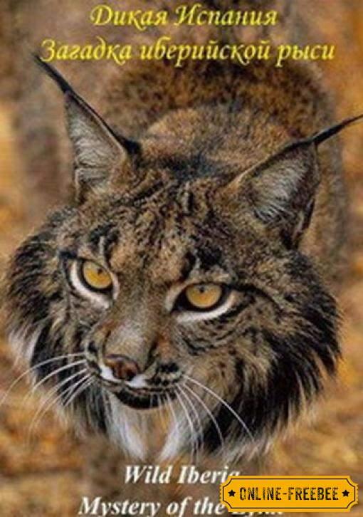 National Geographic. Дикая Иберия. Загадка иберийской рыси National Geographic. Дикая Иберия. Загадка иберийской рыси