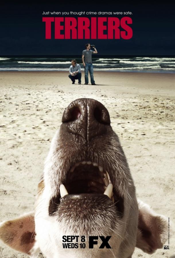 Терьеры Терьеры