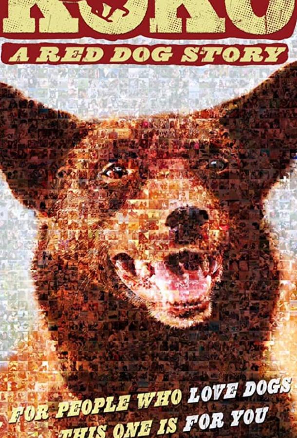 Коко: История Рыжего Пса Коко: История Рыжего Пса