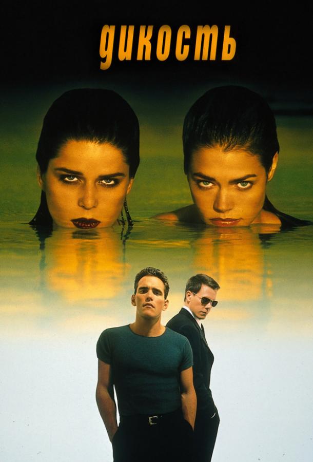 Дикость Дикость