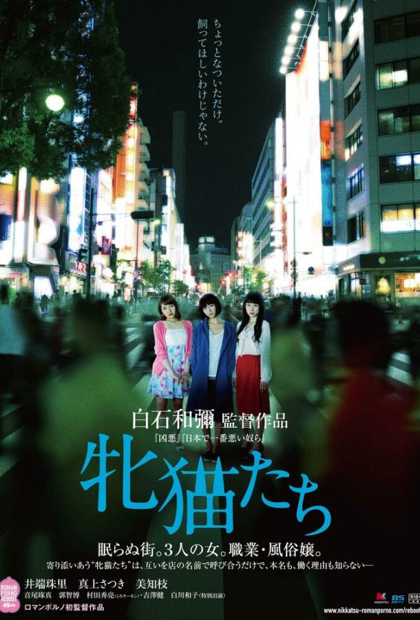 Кошачий рассвет Кошачий рассвет