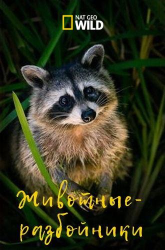 Животные-разбойники Животные-разбойники