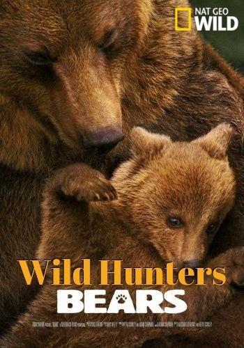 Дикие охотники. Медведи Дикие охотники. Медведи