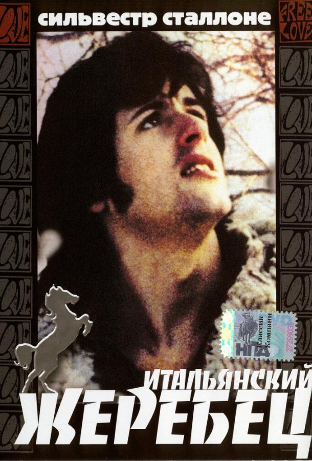 Итальянский жеребец Итальянский жеребец