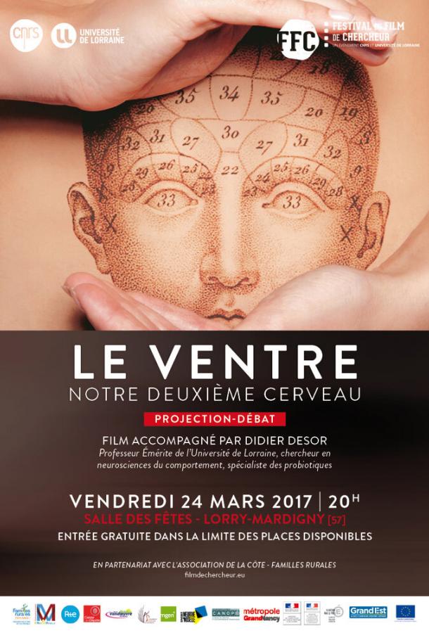 Живот / Наш второй мозг Живот / Наш второй мозг