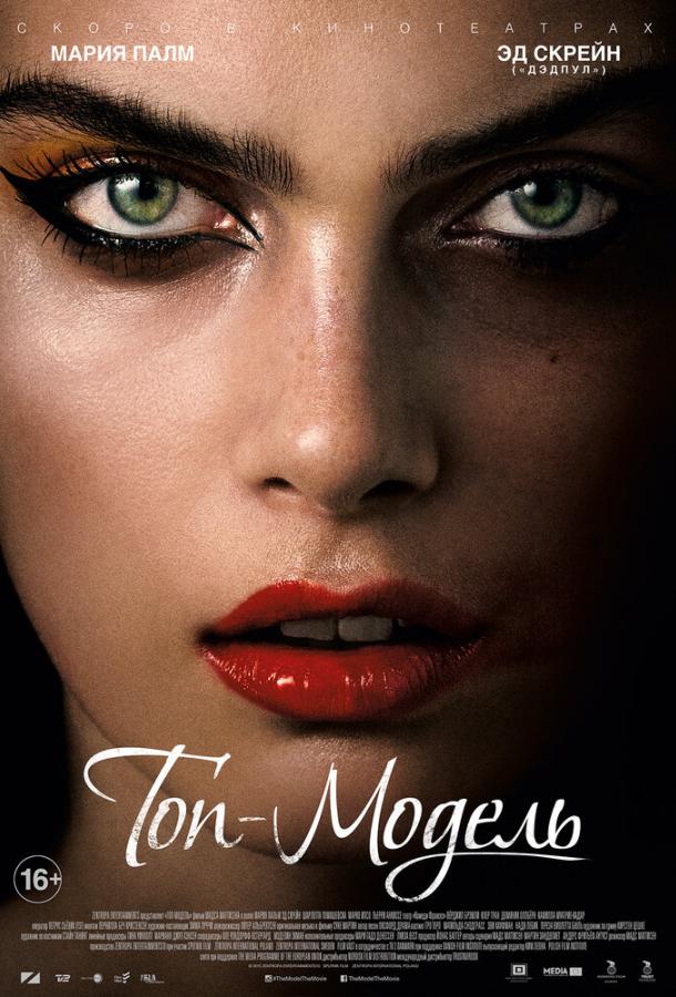 Топ-модель Топ-модель
