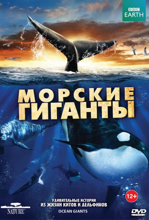 BBC: Морские гиганты BBC: Морские гиганты