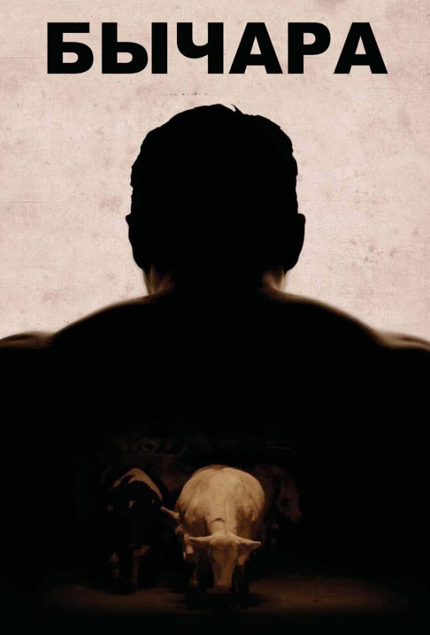 Бычара Бычара