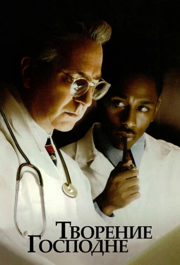 Творение Господне Творение Господне