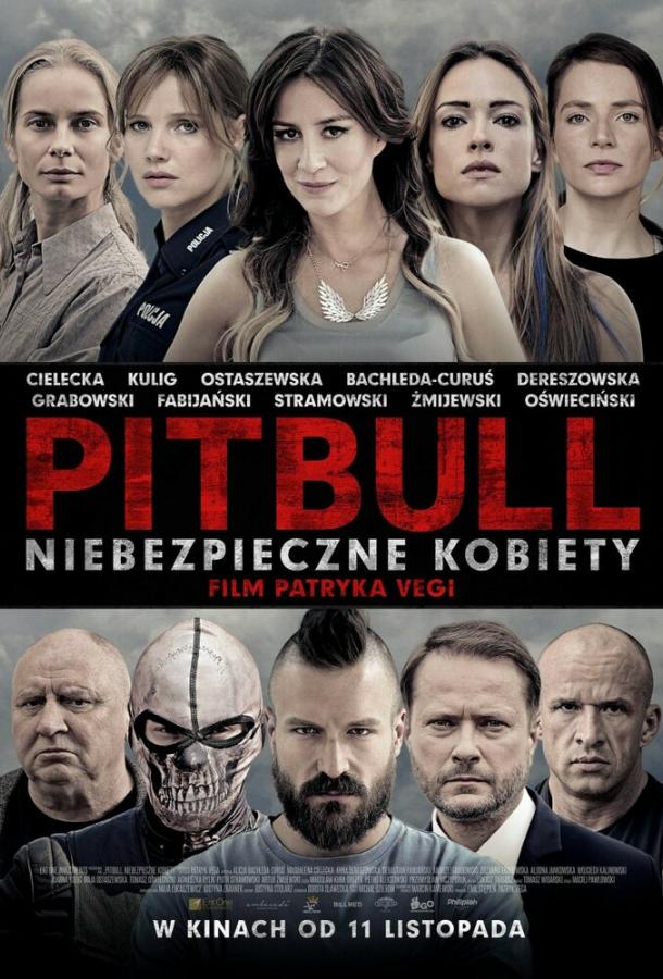 Питбуль. Опасные женщины Питбуль. Опасные женщины