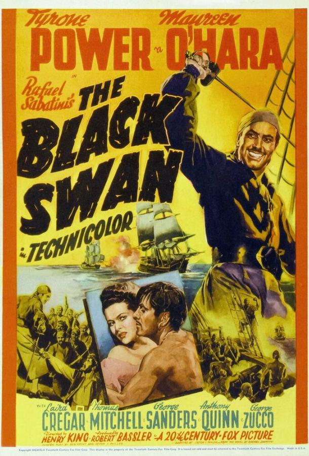 Черный лебедь Черный лебедь