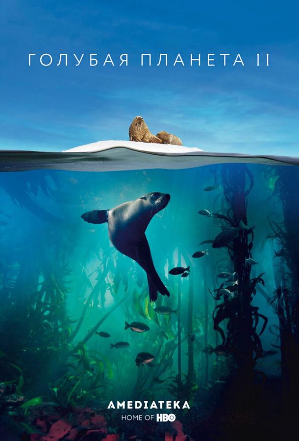 Голубая планета 2 Голубая планета 2