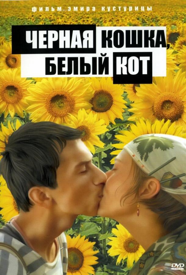 Черная кошка, белый кот Черная кошка, белый кот