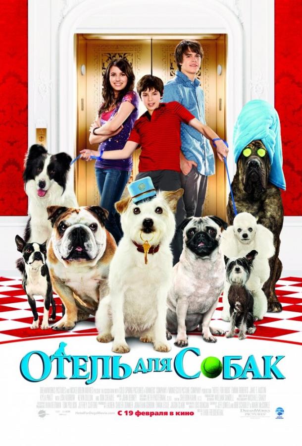 Отель для собак Отель для собак