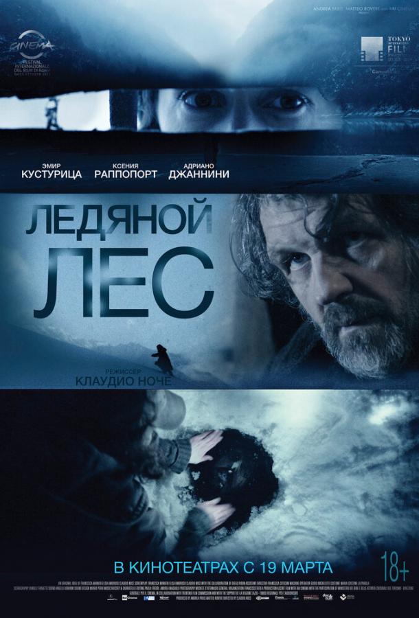 Ледяной лес Ледяной лес
