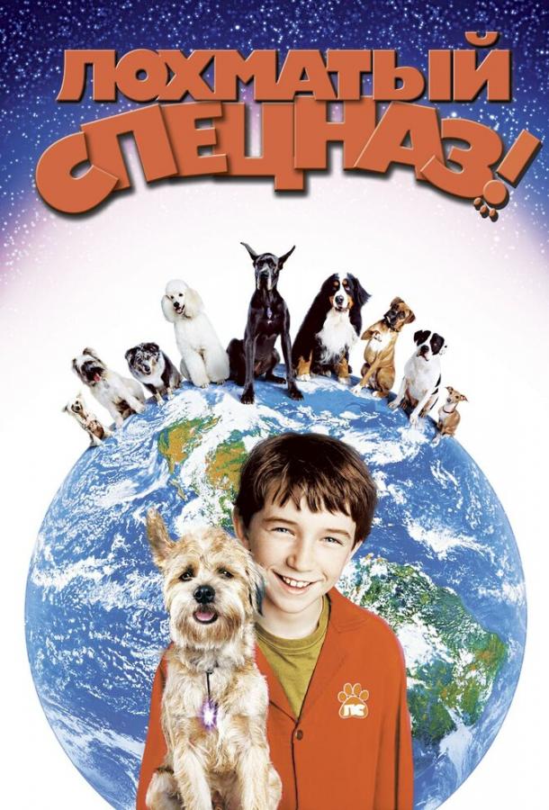 Лохматый спецназ Лохматый спецназ