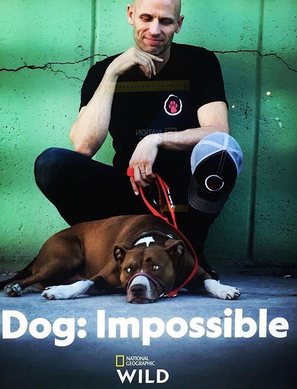 Собака: Невозможное возможно Собака: Невозможное возможно