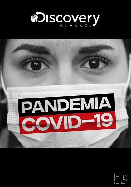 Самые опасные вирусы. Коронавирус Самые опасные вирусы. Коронавирус