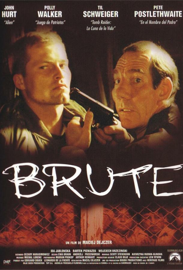 Бандит Бандит