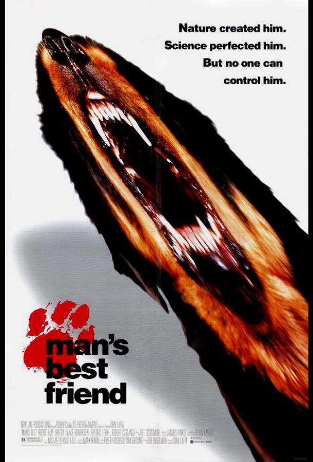 Лучший друг человека Лучший друг человека