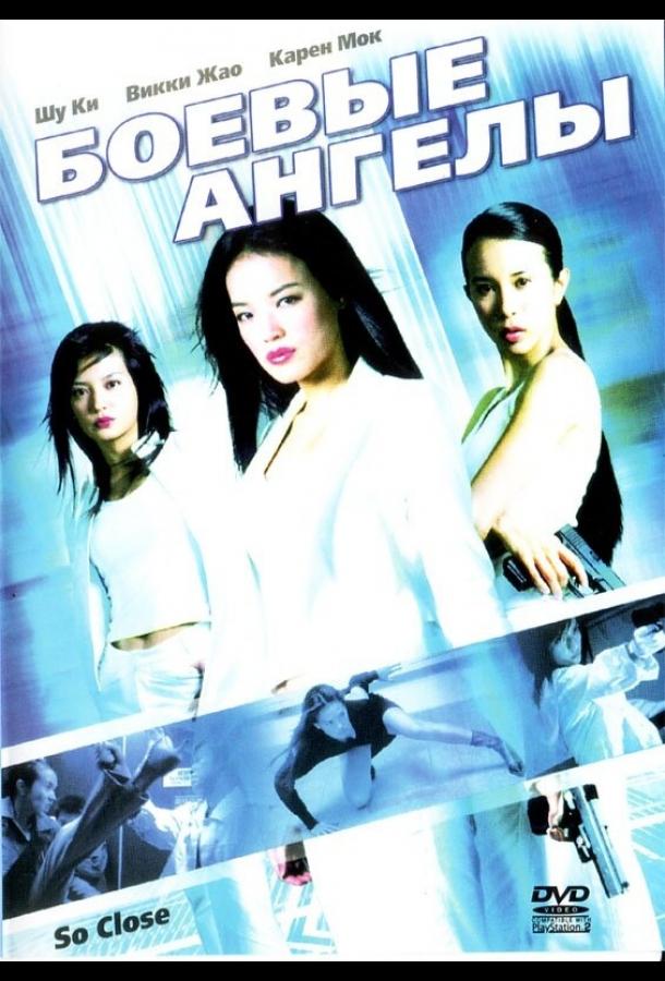 Боевые ангелы Боевые ангелы