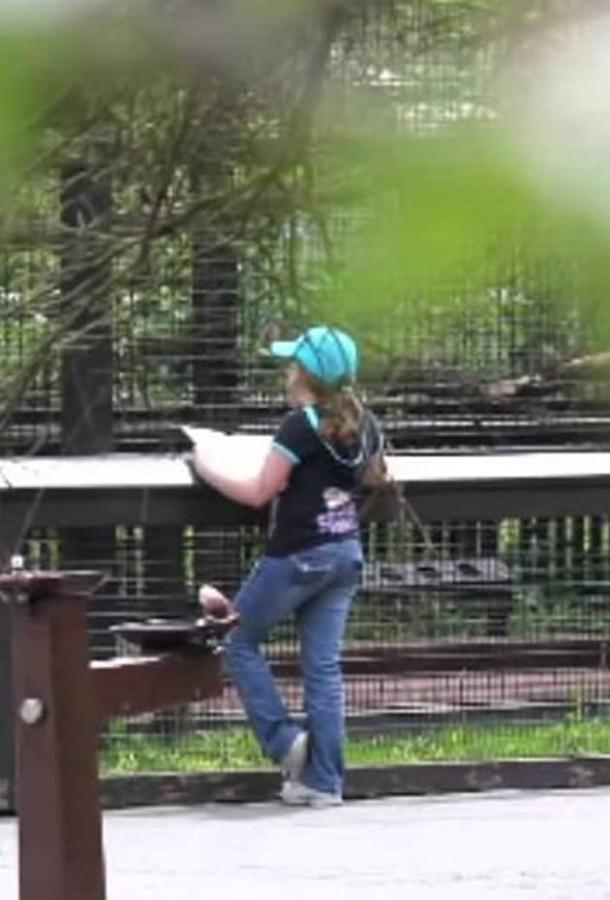 Школа-зоопарк Школа-зоопарк