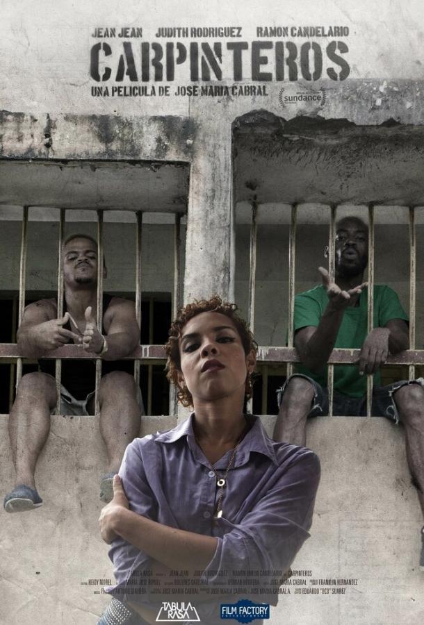 Дятлы Дятлы