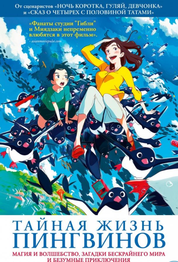 Тайная жизнь пингвинов Тайная жизнь пингвинов