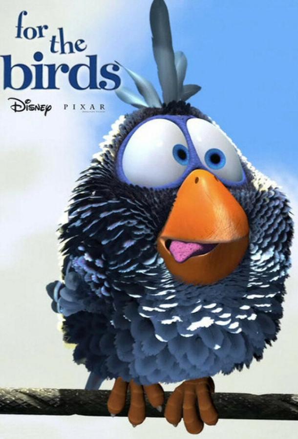 О птичках О птичках