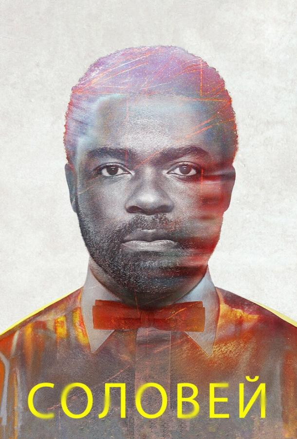 Соловей Соловей