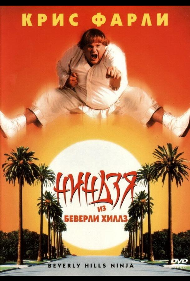 Ниндзя из Беверли Хиллз Ниндзя из Беверли Хиллз