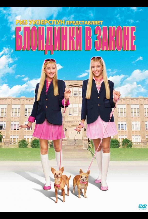 Блондинки в законе Блондинки в законе
