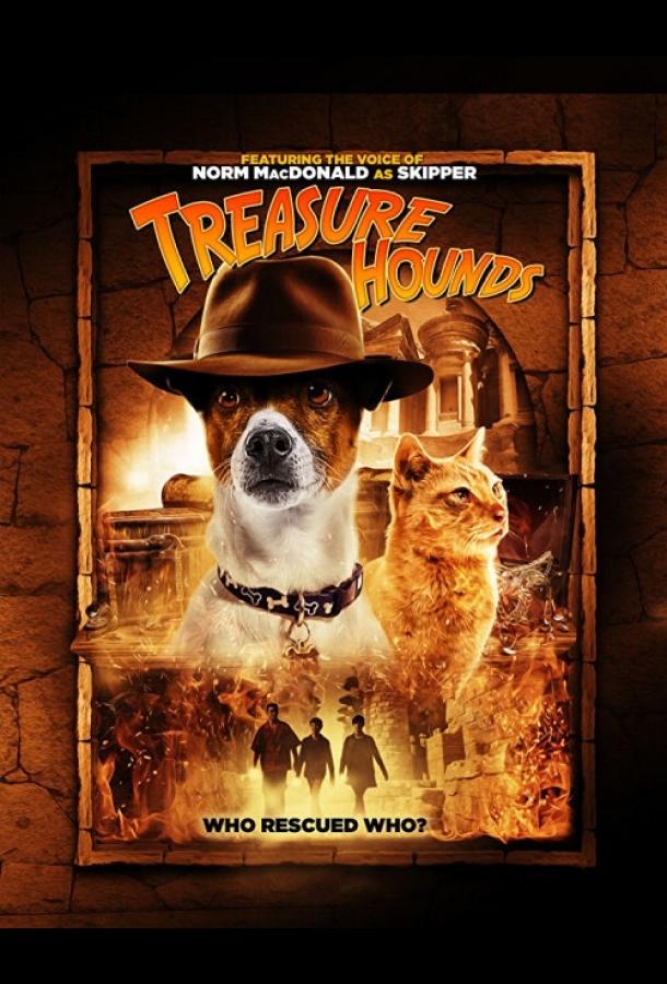 Дедушкины сокровища Дедушкины сокровища