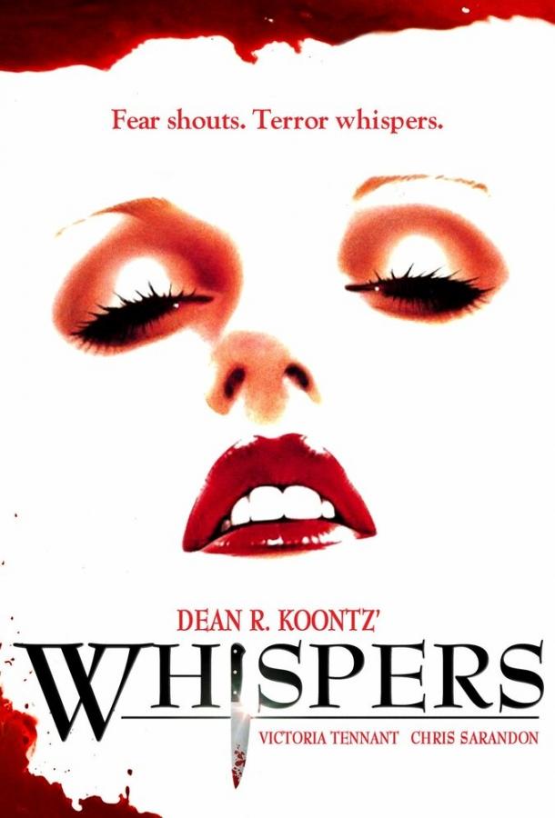 Шорохи Шорохи