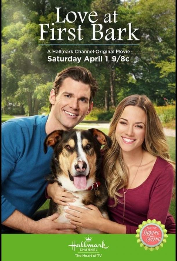 Любовь с первого лая Любовь с первого лая