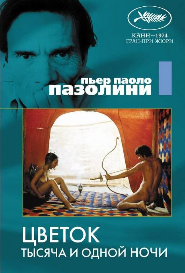 Цветок тысяча и одной ночи Цветок тысяча и одной ночи