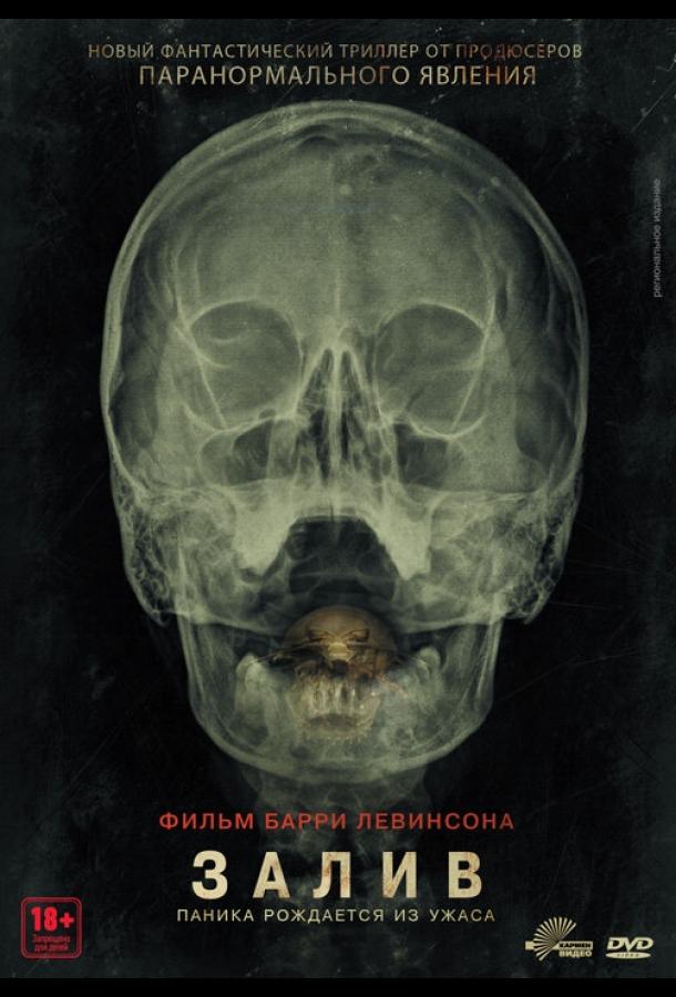 Залив Залив