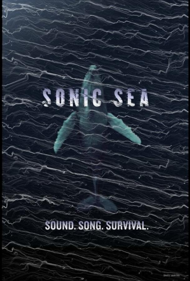 Оглушающий океан Оглушающий океан