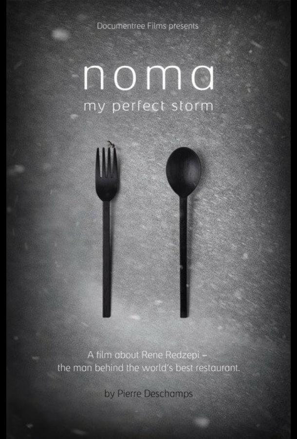 «Нома» – мой идеальный шторм «Нома» – мой идеальный шторм