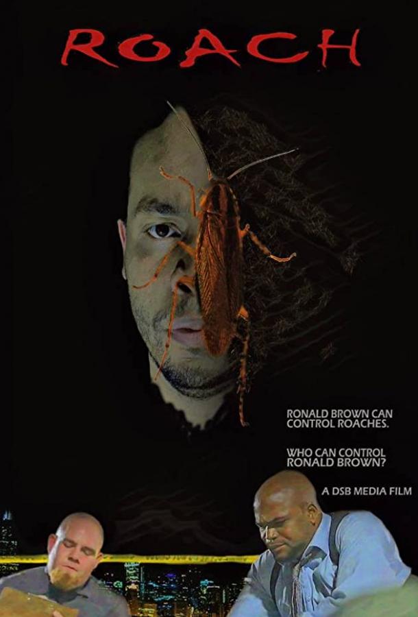 Таракан Таракан